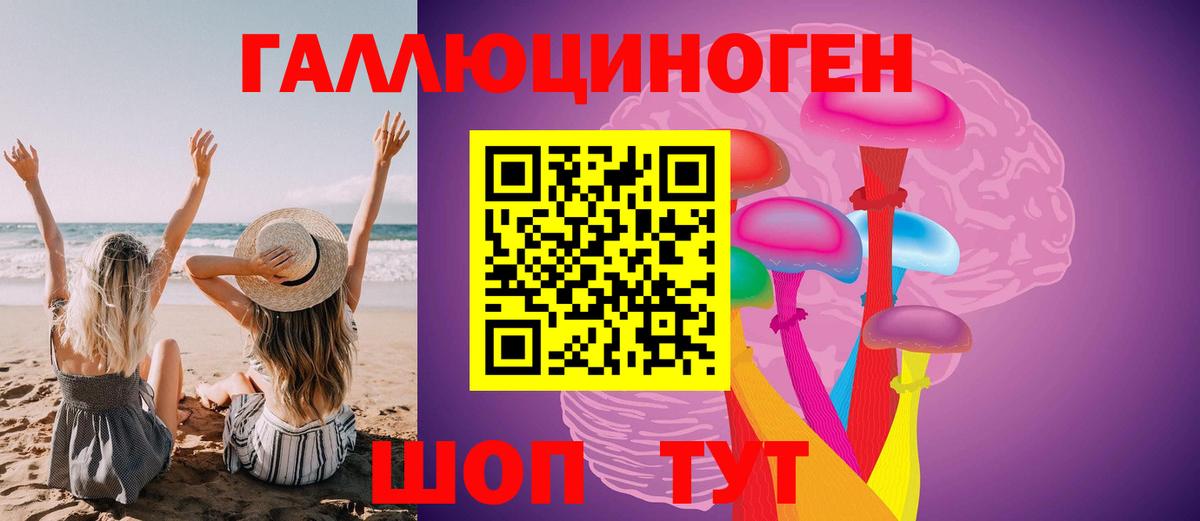 Псилоцибиновые грибы Psilocybine cubensis Горно-Алтайск